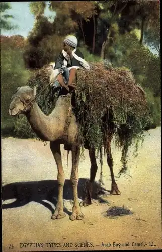 Ak Egyptian Types and Scenes, Arab Boy and Camel, Junge auf einem Kamel
