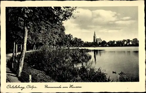 Ak Szczytno Ortelsburg Ostpreußen, Promenade am Haussee