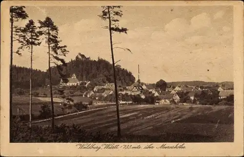 Ak Waldburg in Württemberg, Totalansicht, Feld