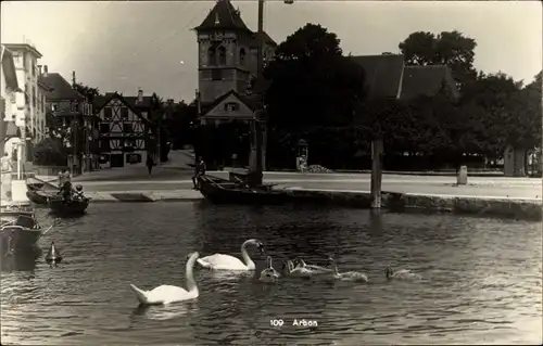 Ak Arbon Kanton Thurgau, Ortspartie, Teich, Schwäne