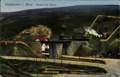 Ak Wildemann Clausthal Zellerfeld im Oberharz, Viadukt mit Tunnel, Eisenbahn