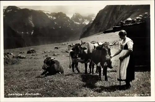 Ak Saletalpe im Berchtesgadener Land, Almfrieden, Frau in Tracht, Kühe