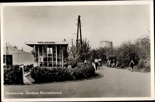 Ak Oostvoorne aan Zee Südholland, Gorslaan Recreatieoord