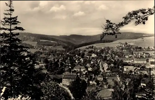 Ak Pockau im Erzgebirge Sachsen, Flöhatal, Panorama