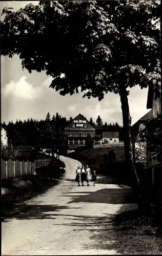 Ak Schnarrtanne Auerbach im Vogtland, Gaststätte Goldene Höhe