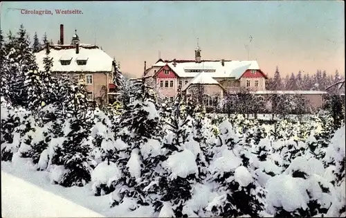 Ak Carolagrün Auerbach im Vogtland, Westseite im Winter