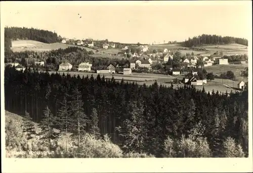 Foto Ak Vogelsgrün Auerbach im Vogtland, Panorama