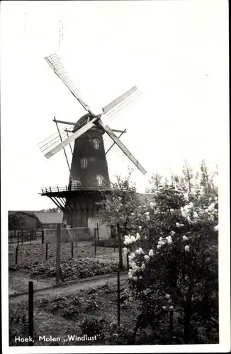 Ak Hoek Zeeland Niederlande, Molen Windlust