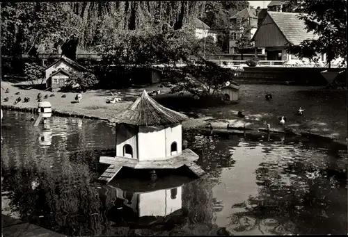 Ak Bischofswerda in Sachsen, Tierpark, Teich