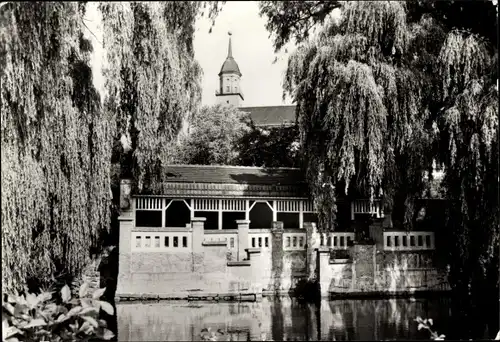 Ak Bischofswerda in Sachsen, Schillerpark, Mühlteich