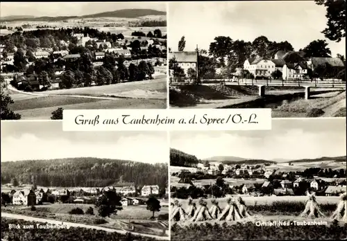 Ak Taubenheim Sohland an der Spree, Blick zum Taubenberg, Felder, Totale