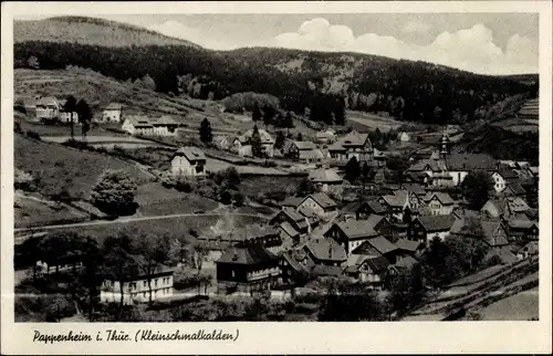 Ak Pappenheim Kleinschmalkalden Floh Seligenthal, Gesamtansicht