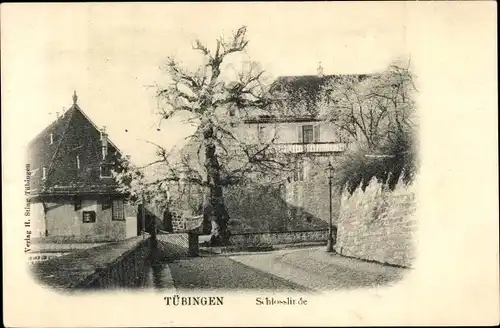 Ak Tübingen am Neckar, Schlosslinde