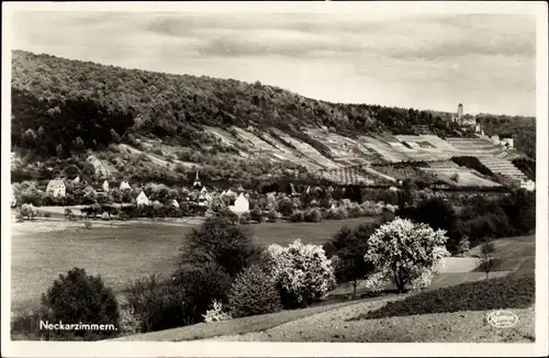 Ak Neckarzimmern im Neckartal, Panorama