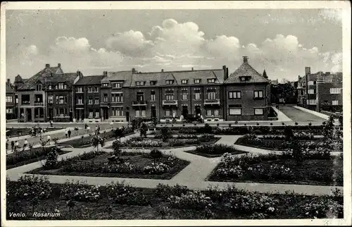 Ak Venlo Limburg Niederlande, Rosarium