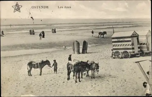 Ak Oostende Ostende Westflandern, Les Anes