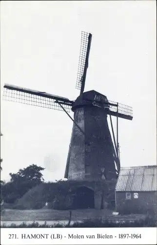 Ak Hamont Flandern Limburg, Molen van Bielen