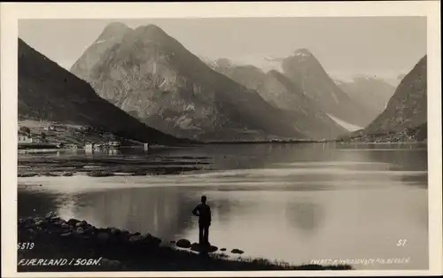 Ak Fjærland in Norwegen, Panorama