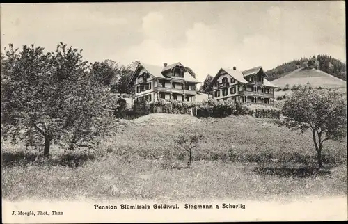 Ak Kandersteg Kanton Bern, Pension Blümlisalp Goldwiwyl, Stegmann und Scherlig