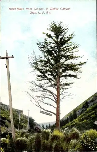 Ak Utah USA, 1000 Miles from Omaha in Weber Canyon, U. P. Ry.