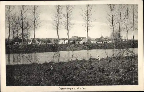 Ak Consenvoye Meuse, Panorama, Fluss