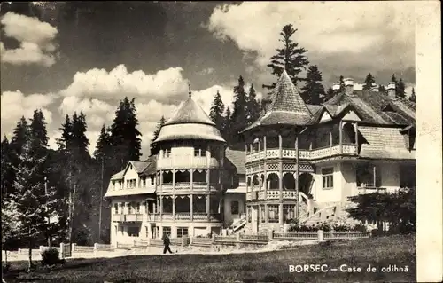 Ak Borsec Rumänien, Case de odihna, Erholungsheime