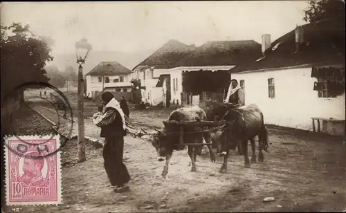 Foto Ak Ortschaft in Rumänien, Straßenpartie, Häuser, Rind