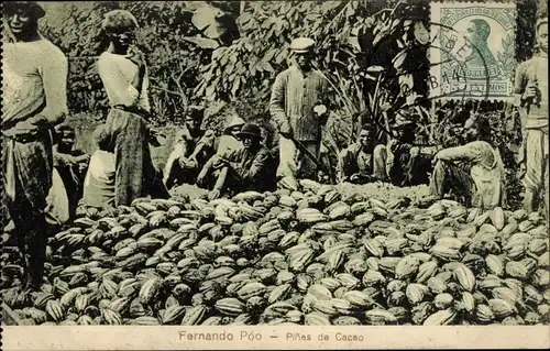 Ak Malabo Santa Isabel Bioko Fernando Póo Äquatorialguinea, Pinas de Cacao