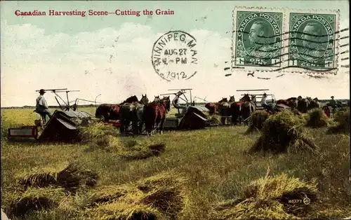 Ak Canadian Harvesting Scene, Cutting the Grain