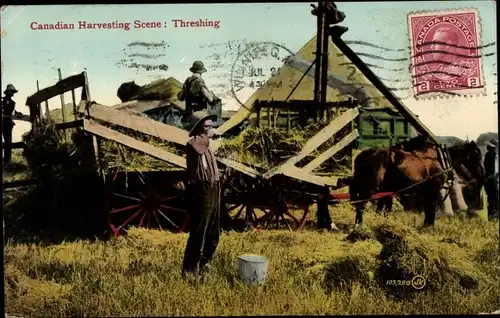 Ak Canadian Harvesting Scene, Threshing