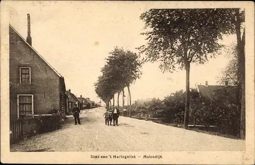 Ak Stad aan 't Haringvliet Südholland, Molendijk