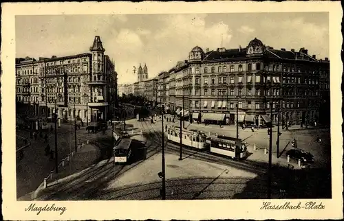 Ak Magdeburg, Hasselbach Platz, Straßenbahnen