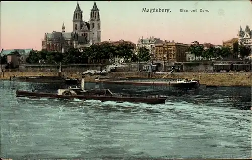 Ak Magdeburg an der Elbe, Elbe und Dom, Dampfer