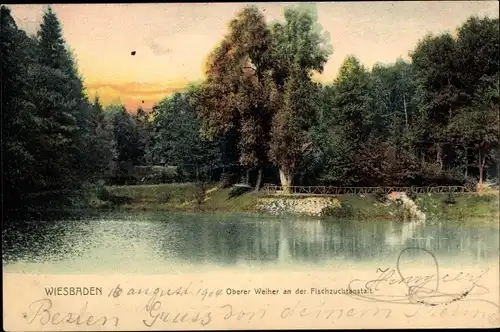 Ak Wiesbaden, Oberer Weiher an der Fischzuchtanstalt