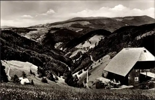 Ak Waldau Titisee Neustadt im Breisgau Schwarzwald, Blick vom Café Lachenhäusle