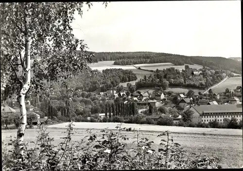 Ak Wildenau Schwarzenberg im Erzgebirge Sachsen, Panorama