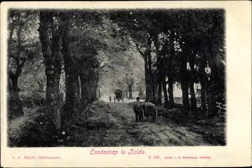 Ak Rolde Drenthe Niederlande, Landschap te Rolde, Waldweg
