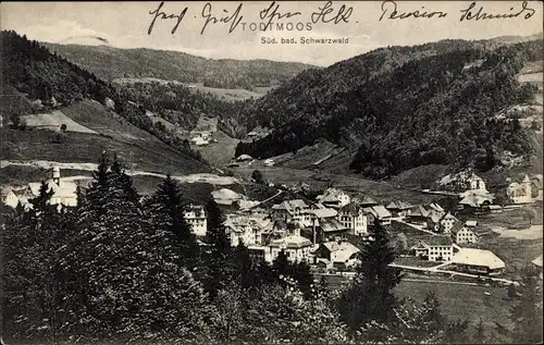 Ak Todtmoos im Schwarzwald, Panorama