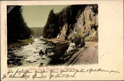 Ak Böhrigen Striegistal Sachsen, Partie aus dem Striegistal