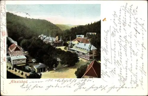 Ak Alexisbad Harzgerode in Sachsen Anhalt, Teilansicht