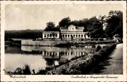 Ak Helmstedt in Niedersachsen, Quellenhof und Lappwald-Terrassen