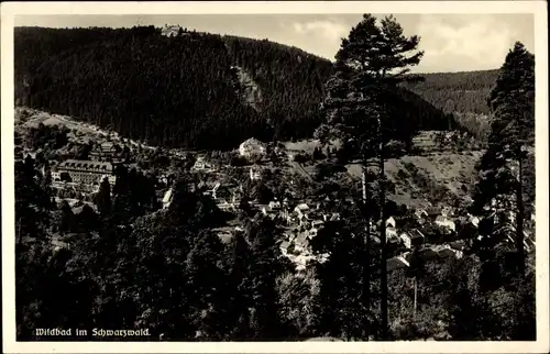 Ak Bad Wildbad im Schwarzwald, Panorama