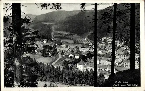 Ak St. Blasien Schwarzwald, Ort vom Holzberg gesehen