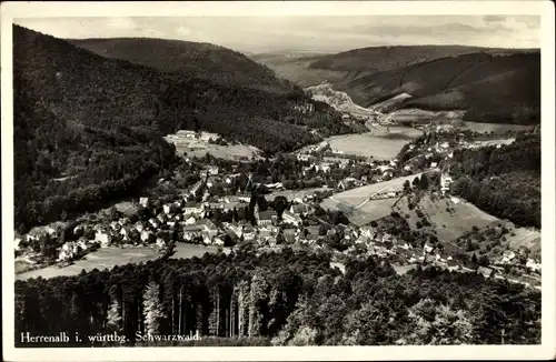 Ak Bad Herrenalb im Schwarzwald, Panorama