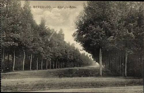 Ak Beverloo Beverlo Beringen Flandern Limburg, Königin Allee