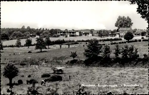 Ak Noorbeek Limburg Niederlande, Bungalowpark 't Busschelke