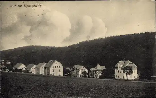 Ak Rechenberg Bienenmühle Erzgebirge, Teilansicht