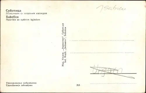 Ak Szabadka Subotica Serbien, Panorama