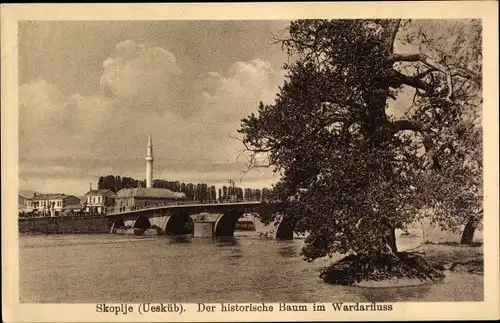 Ak Skopje Üsküb Mazedonien, Der historische Baum im Wardarfluss, Brücke