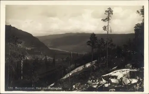Ak Norwegen, Bergensbanen, Ved Hol Hallingdal